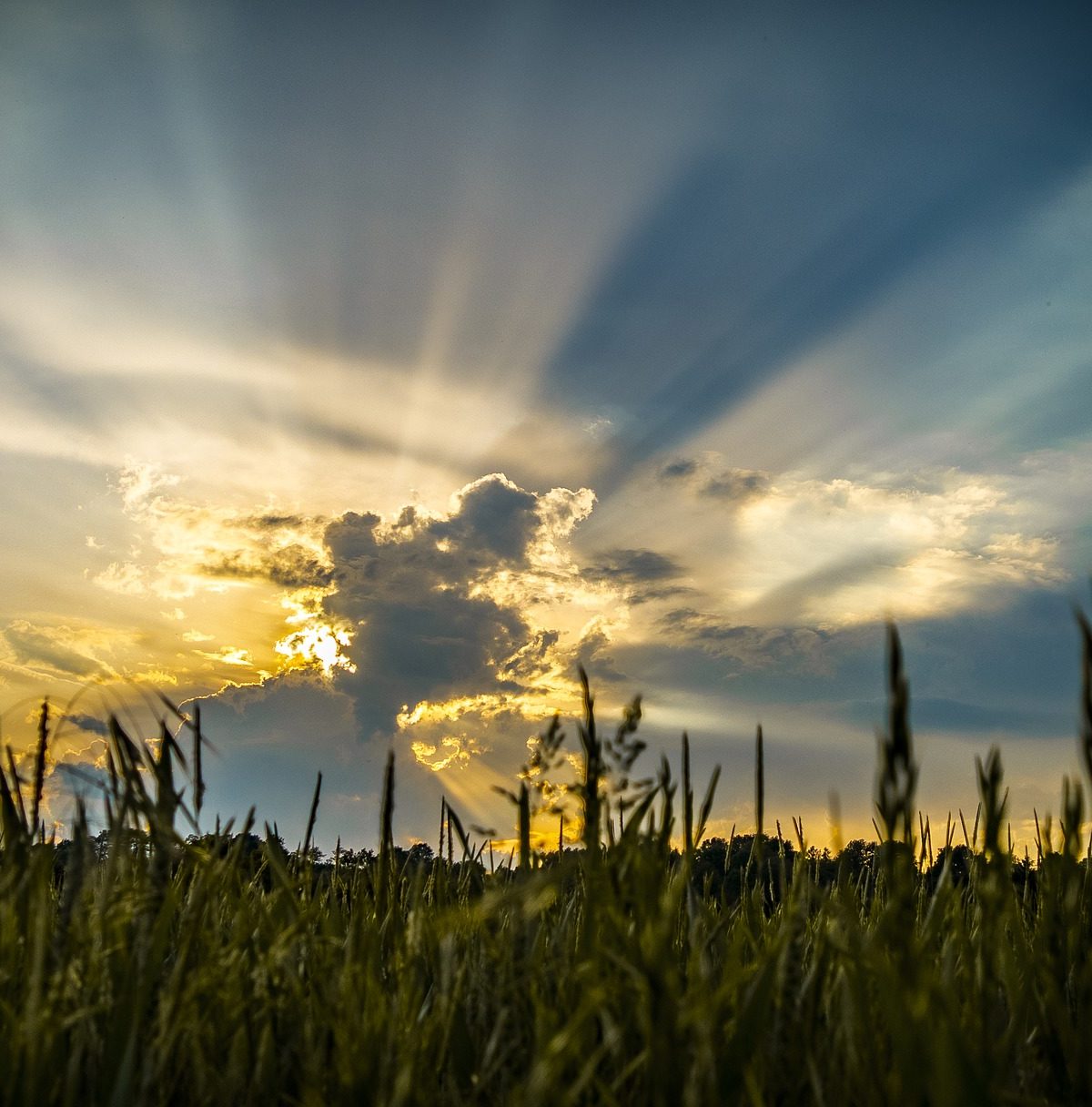 zaświecił dla mnie słońce