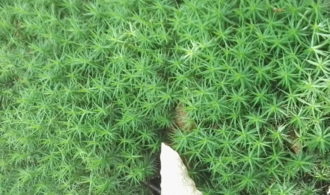 wakacje w Górach Opawskich