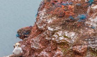 plastik i środowisko